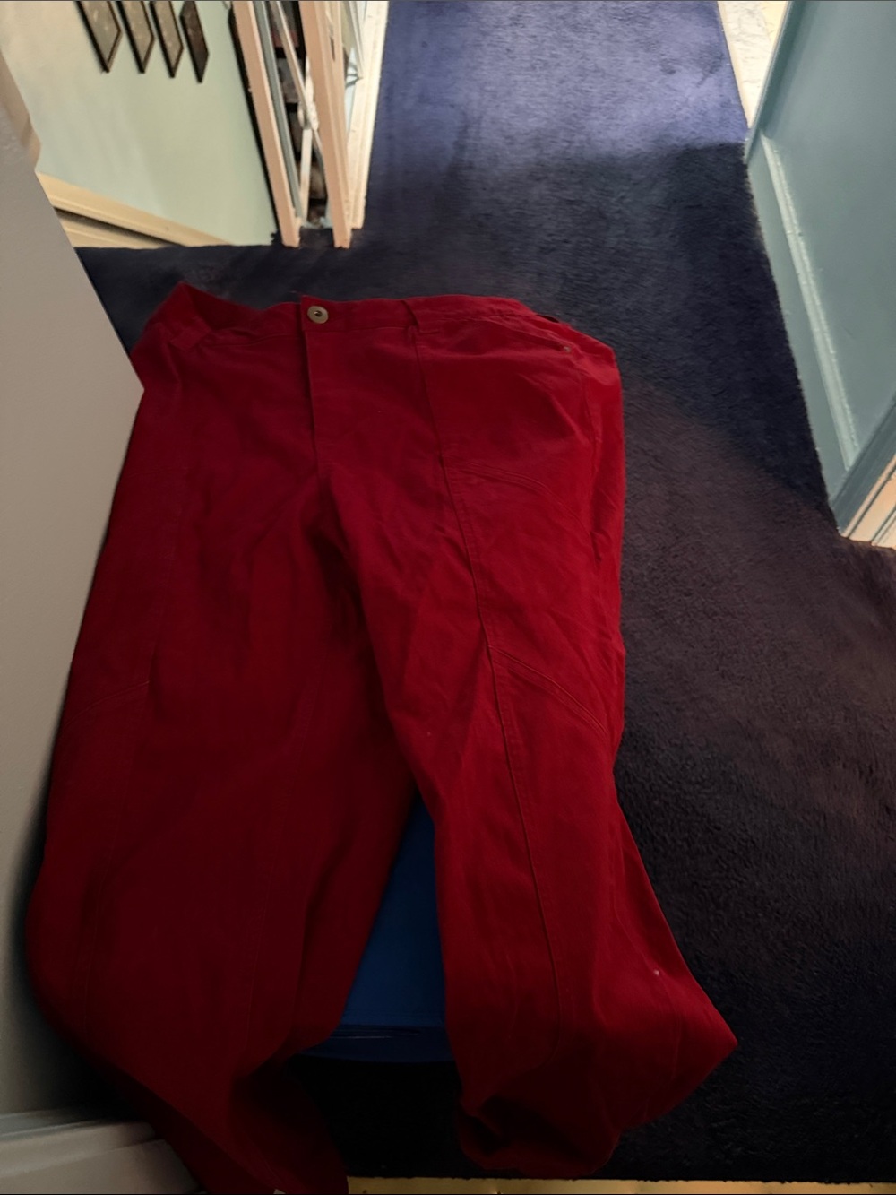 Catherines Red Cargo Pants Lightweight and Water-Resistant